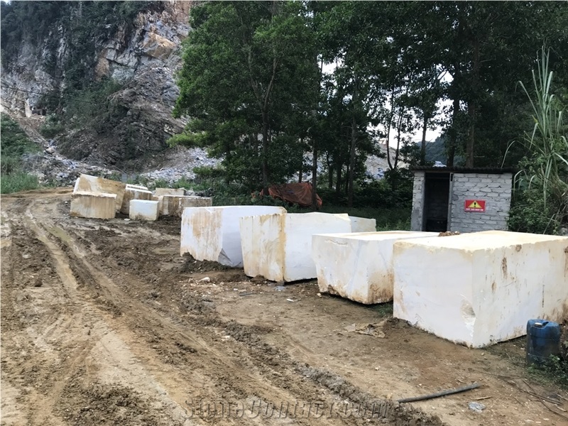 Vietnam Milk White Marble Quarry