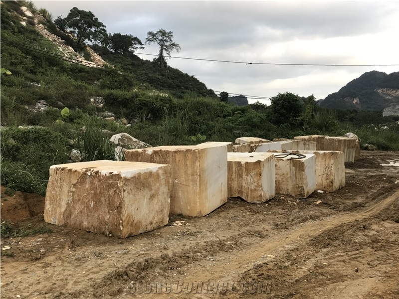Vietnam Milk White Marble Quarry