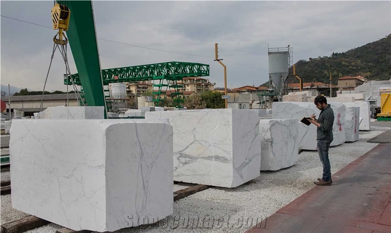 Bianco Carrara Tecchione Quarry