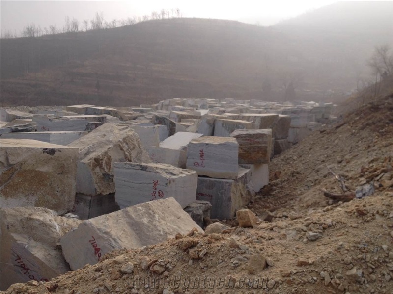 Blue Bamboo,Grey Wooden Limestone,Zebra Stone Quarry