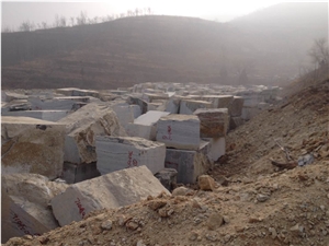 Blue Bamboo,Grey Wooden Limestone,Zebra Stone Quarry