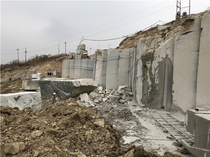 Blue Bamboo,Grey Wooden Limestone,Zebra Stone Quarry