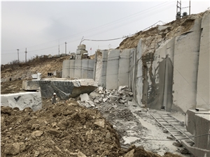 Blue Bamboo,Grey Wooden Limestone,Zebra Stone Quarry