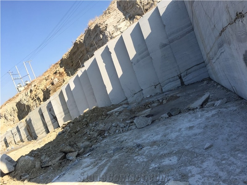 Blue Bamboo,Grey Wooden Limestone,Zebra Stone Quarry