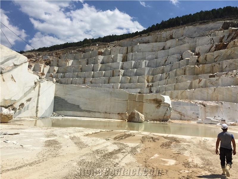Bianco Dolomite Star White Marble  Quarry