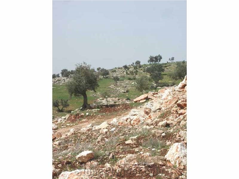 Ajloun Royal Beige- Ajlouni Desert Beige Limestone Quarry