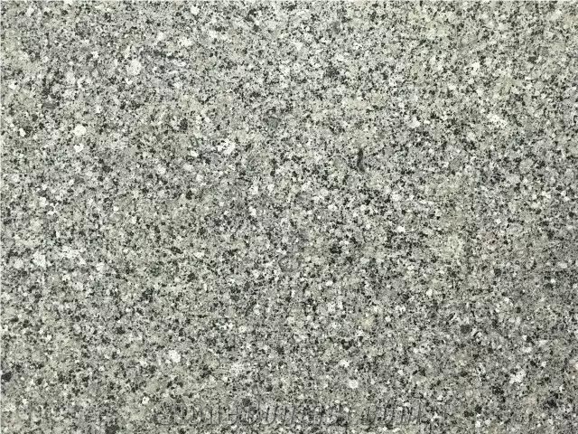Chinese New Quarry Blue Grain Granite
