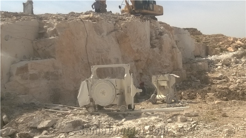 Courteaud Grey(Gris Courteaux) - Maktar Grey Limestone Quarry