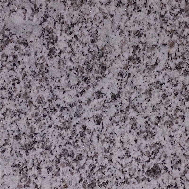 Gris Parga Granite and San Roman Granite Quarry