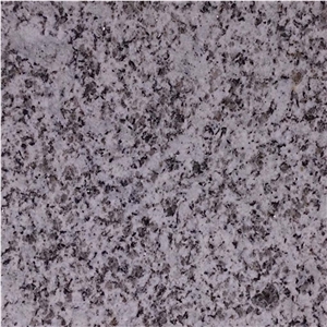 Gris Parga Granite and San Roman Granite Quarry