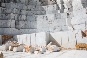 Statuarietto Marble, Statuario Carrara Marble Calocara A-102 Quarry