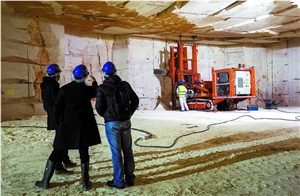 Caliza de Hontoria Quarry