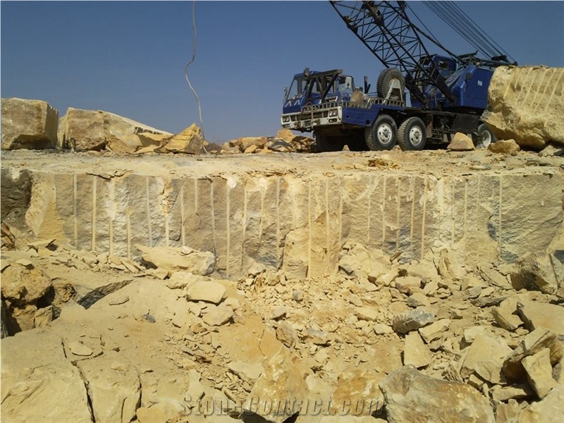 Fossil Yellow Wood Marble Quarry