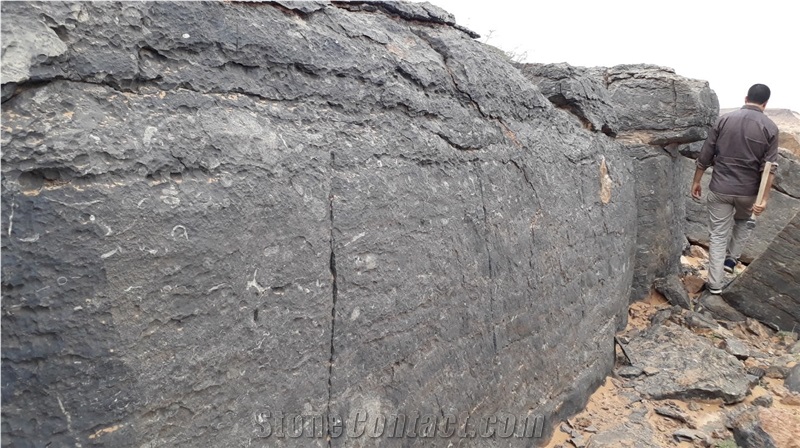 Marble Sidi Ali Tafraoute Fossil Black Marble Quarry