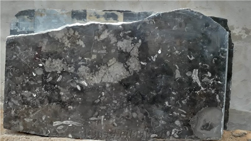 Marble Sidi Ali Tafraoute Fossil Black Marble Quarry