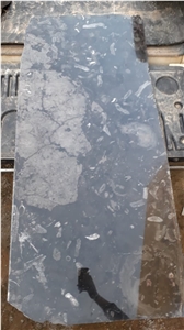 Marble Sidi Ali Tafraoute Fossil Black Marble Quarry