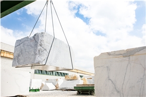 Bianco Carrara C-Bianco Carrara CD Querciola 147 quarry
