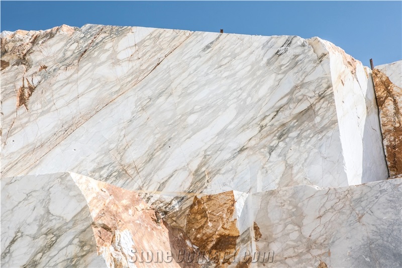Calacatta Paonazzo Marble,Paonazzeto Marble,Paonazetto Bianco Marble Calocara A-102 Quarry