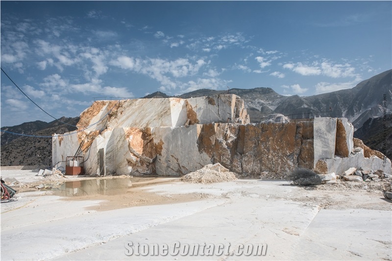 Calacatta Paonazzo Marble,Paonazzeto Marble,Paonazetto Bianco Marble Calocara A-102 Quarry