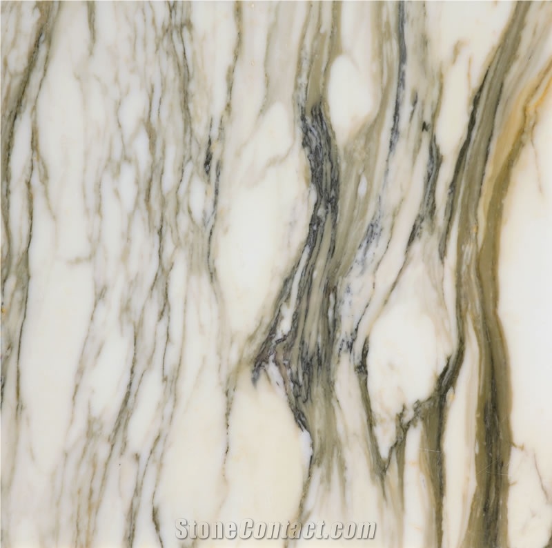 Calacatta Paonazzo Marble,Paonazzeto Marble,Paonazetto Bianco Marble Calocara A-102 Quarry