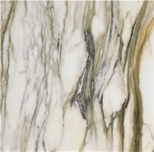 Calacatta Paonazzo Marble,Paonazzeto Marble,Paonazetto Bianco Marble Calocara A-102 Quarry