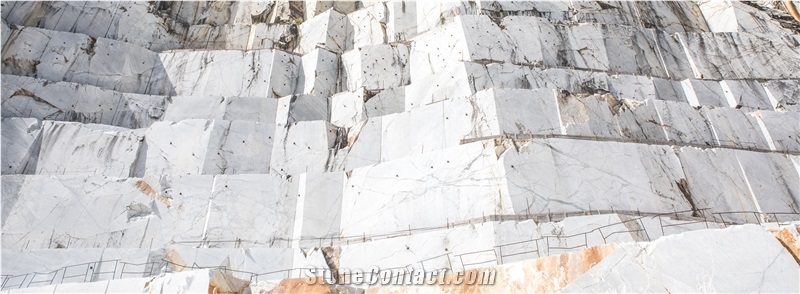 Statuarietto Venato Marble,Bianco Venatino Calocara A-102 Quarry