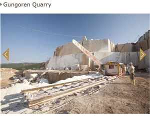 Bursa Dark Beige Marble Gungoren Quarry