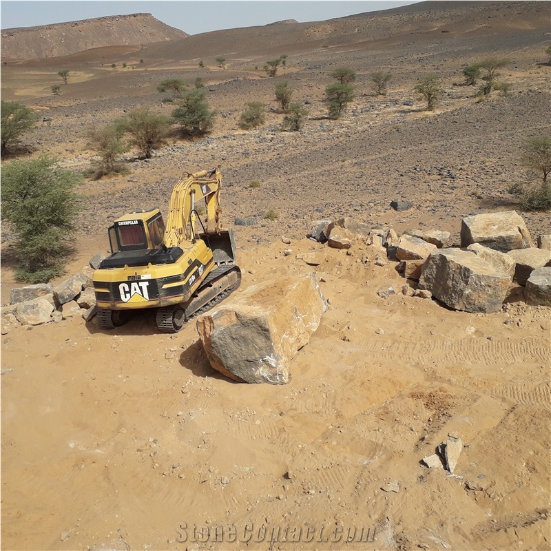 Marble Sidi Ali Tafraoute Fossil Black Marble Quarry