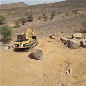 Marble Sidi Ali Tafraoute Fossil Black Marble Quarry