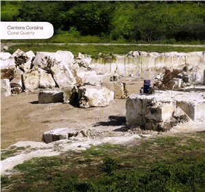 Boca Chica Coral Stone-Coralina Beige Coral Stone Quarry