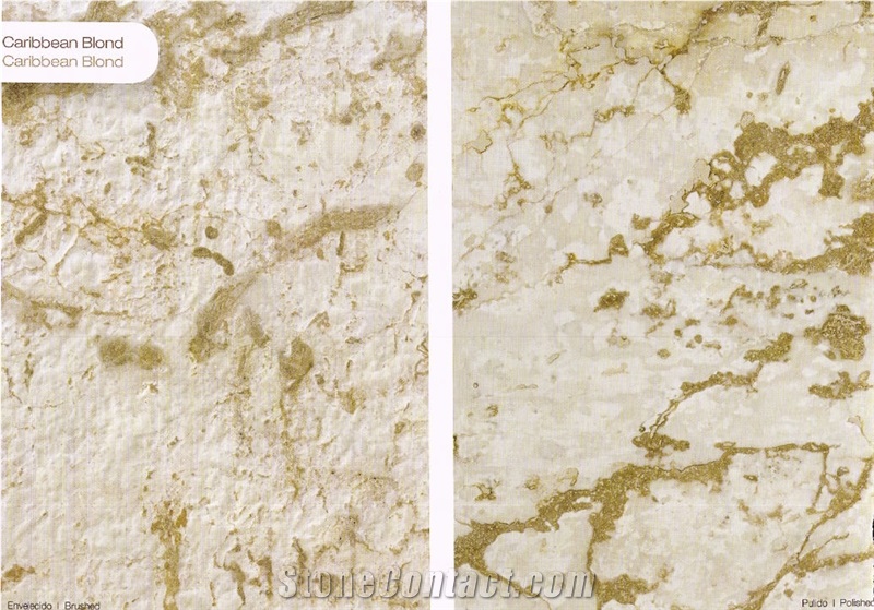 Caribbean Blond Coral Stone Quarry