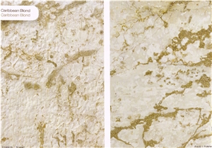 Caribbean Blond Coral Stone Quarry