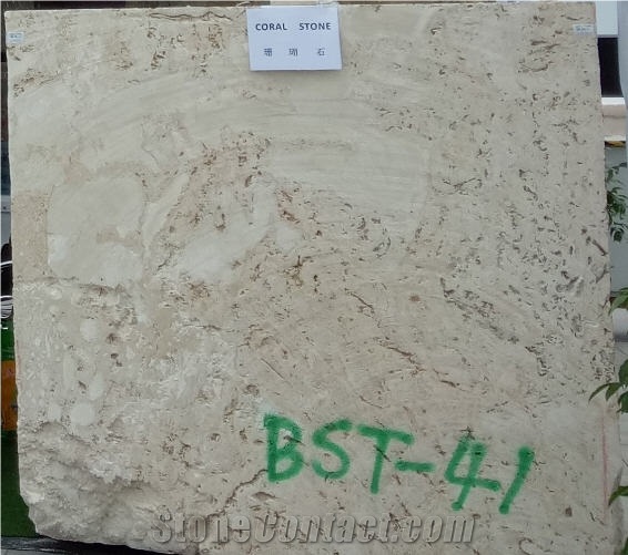 Coralina Gold Coral Stone-Golden Coral Stone Quarry