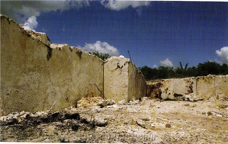 Palladium Coral Stone Quarry