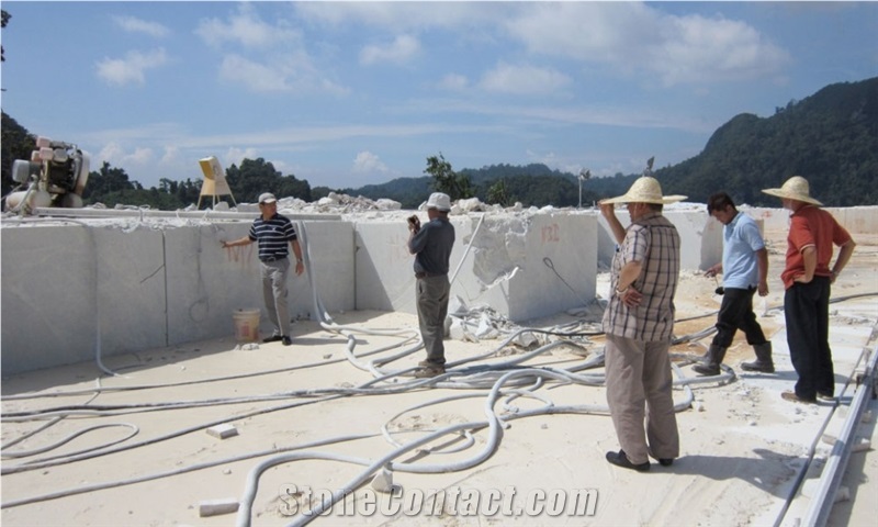 Kelantan Purplish White Marble- Black Spotted White Marble Quarry