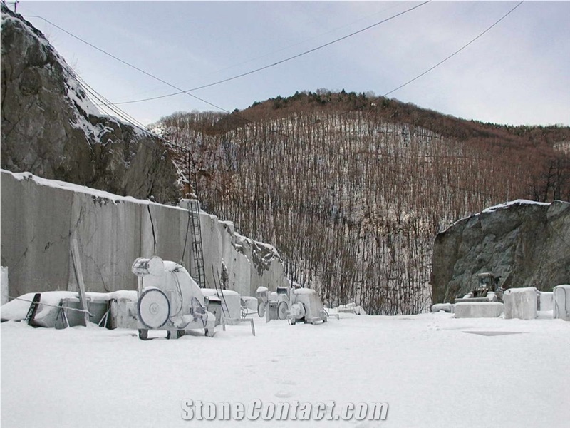 Bardiglio Carrara-Bardiglio Arabescato Marble Quarry