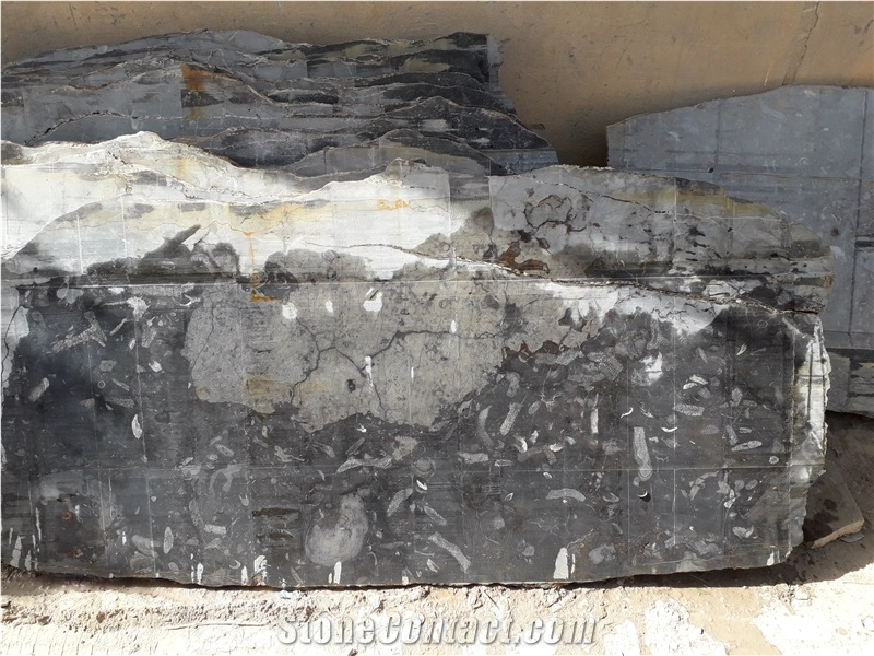 Marble Sidi Ali Tafraoute Fossil Black Marble Quarry