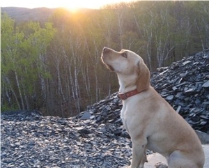 Monson Slate Quarry