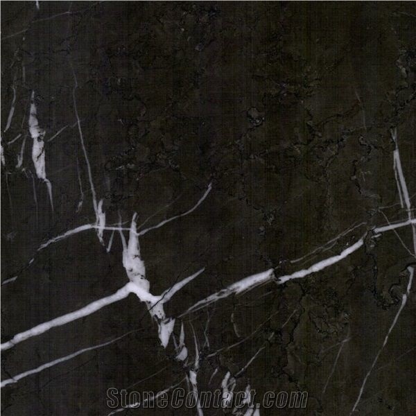 Persian Nero Marquina Marble Quarry