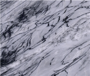 Centella Asiatica Marble Quarry