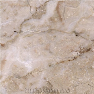Breccia Aurora Marble Monte Pule Quarry