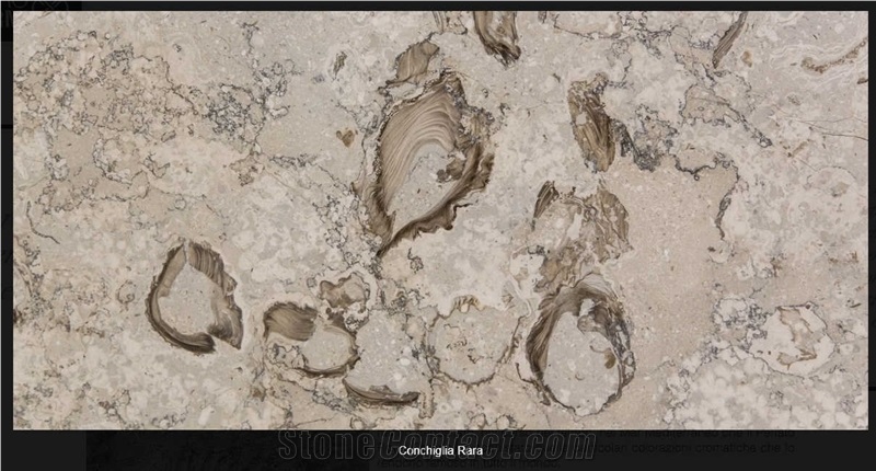 Conchiglia Rara Marble Quarry