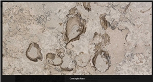 Conchiglia Rara Marble Quarry
