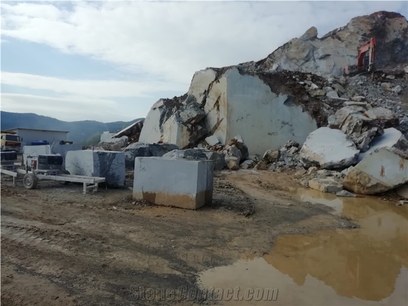 Trendy Grey Marble Quarry
