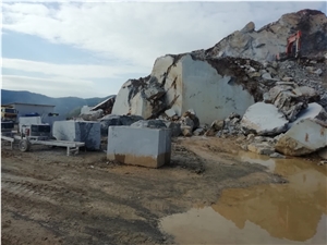 Trendy Grey Marble Quarry