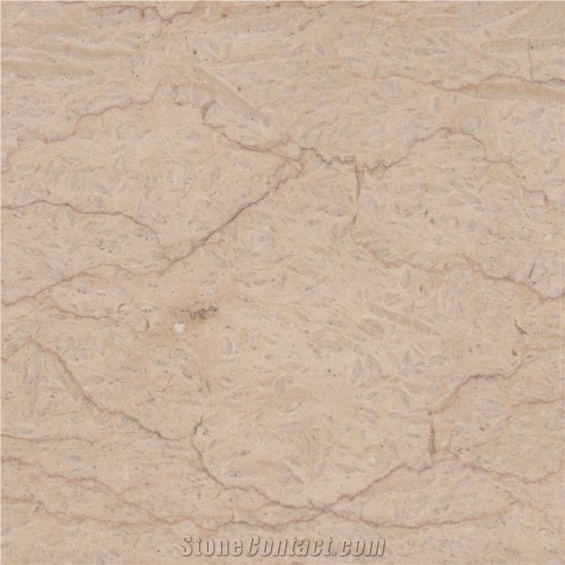 First Cream - Botichinno Marble Quarry