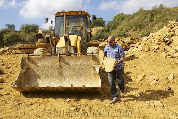 Ham Stone Ham Hill Quarry