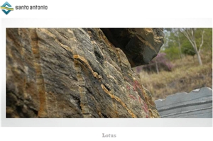 Preto Lotus- Lotus Gold Granite Quarry