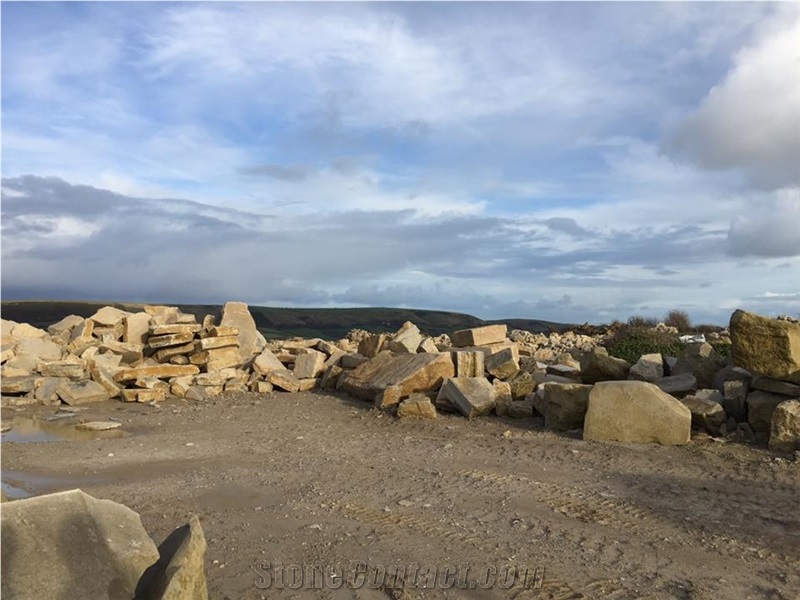 Purbeck Stone - Purbeck Roach Stone Quarry