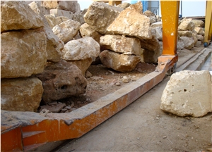 Calypso Coral - Classic Coral Stone, Golden Coral Stone Quarry